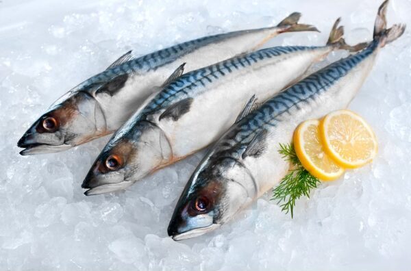魚の油、足りてますか？健康に欠かせないオメガ3を手軽に摂る方法とは？